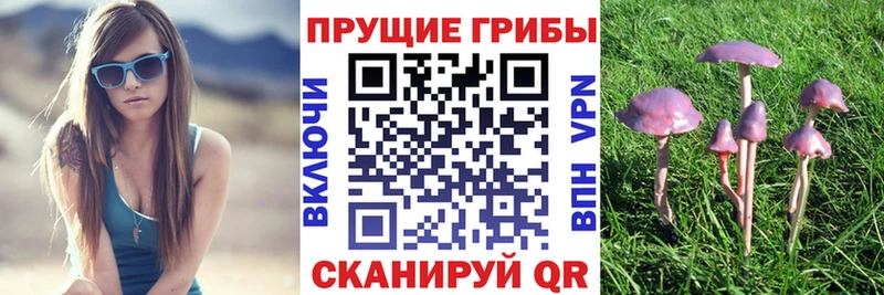 Псилоцибиновые грибы прущие грибы Мглин